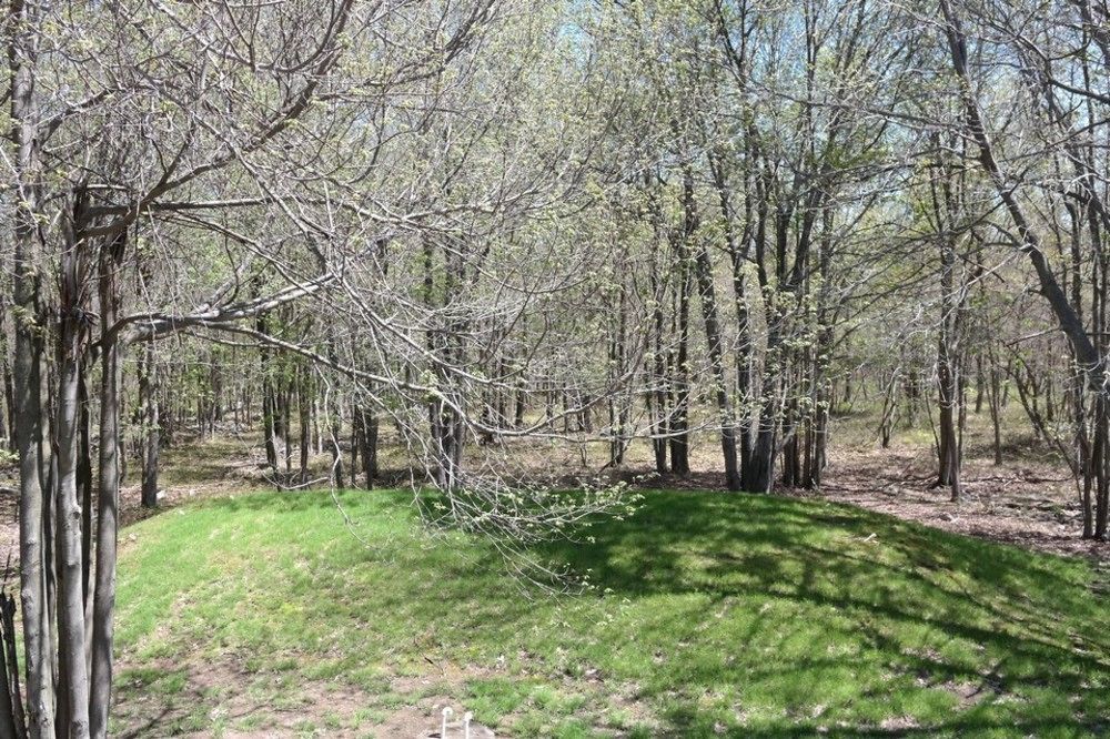 Rentals At Brier Crest Woods レイク・ハーモニー エクステリア 写真